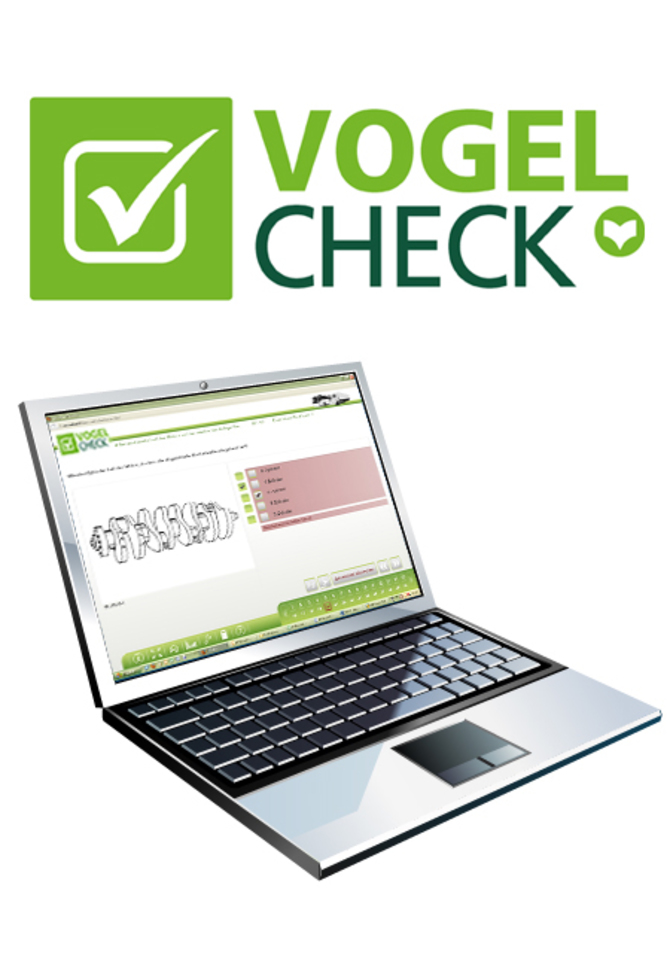 VogelCheck Bkf-Ausbildung