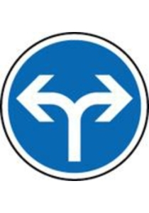Verkehrszeichen  (209-31) Vorgeschriebene Fahrtrichtung links und rechts 